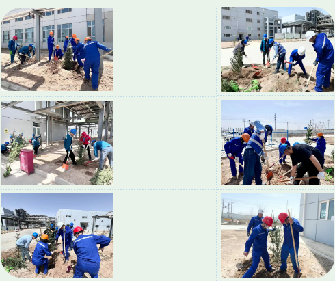 屏幕截图 2025-05-09 131118.png