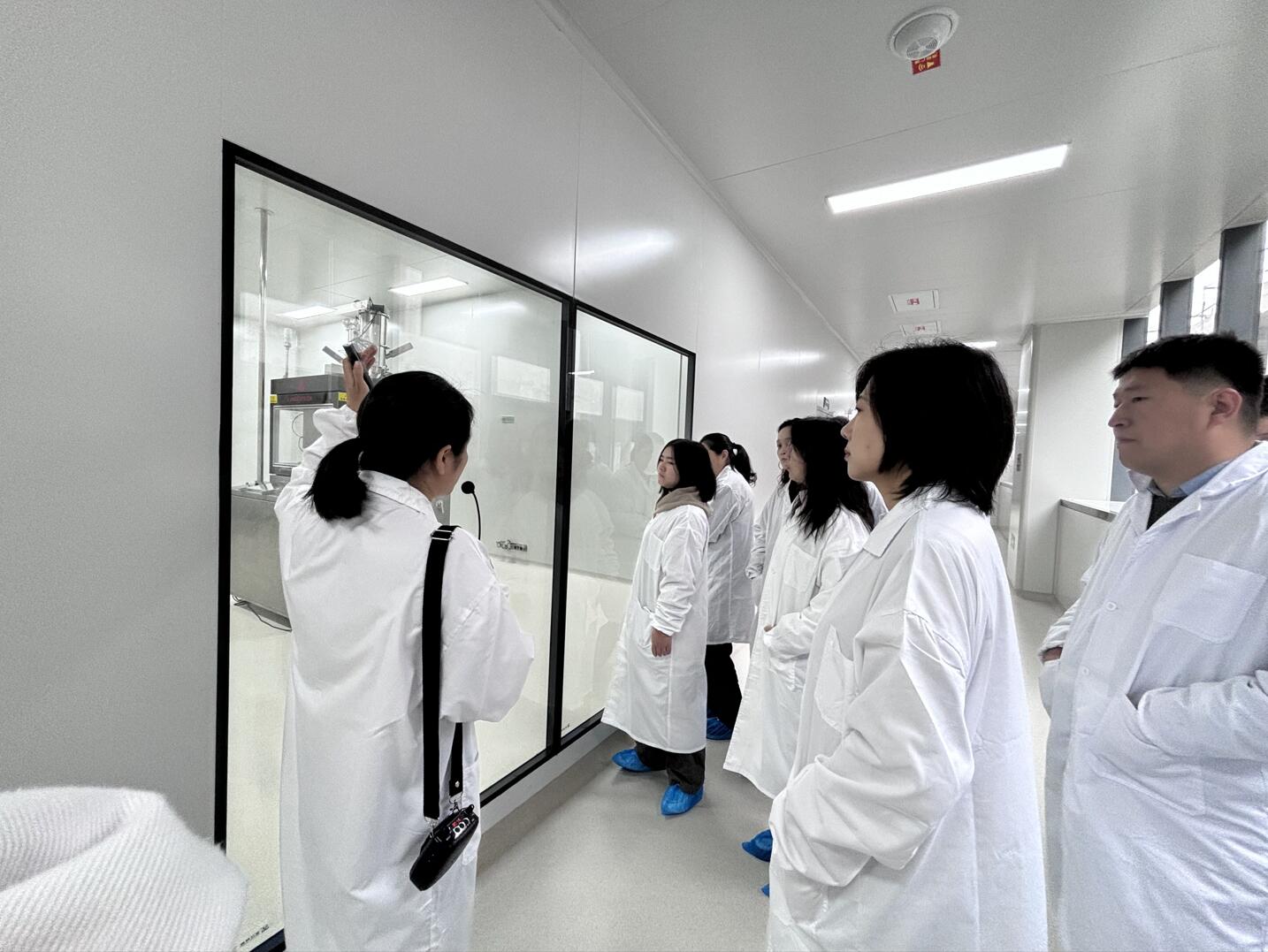 1730257581925667.jpg 1730257581925667.jpg